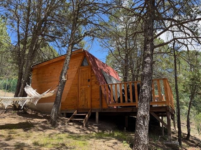 Cabaña Tiny House M1 con terraza y hamaca entre los pinos
