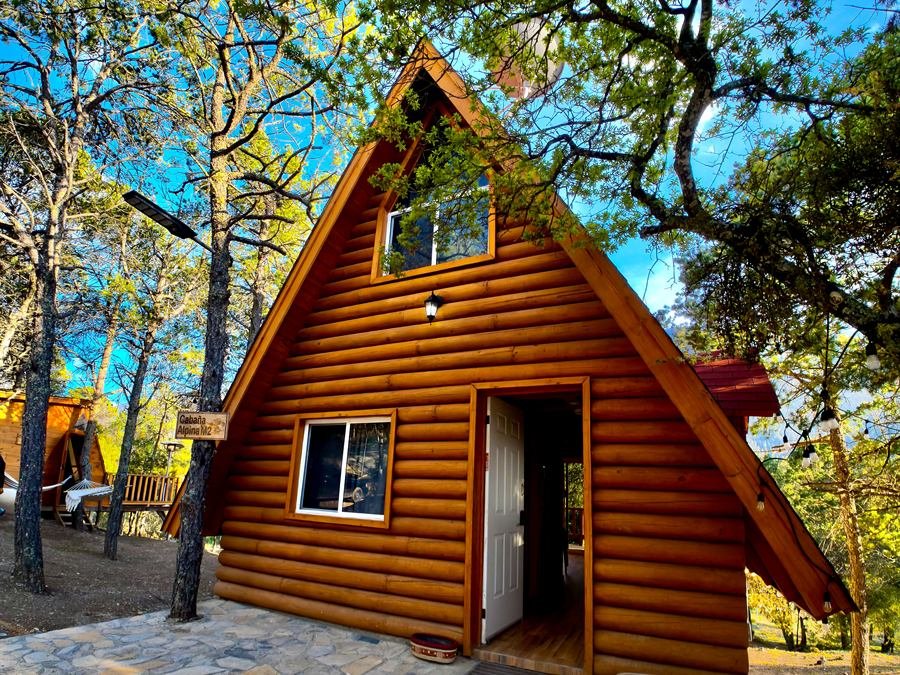 Fachada de la Cabaña Alpina M2 entre pinos