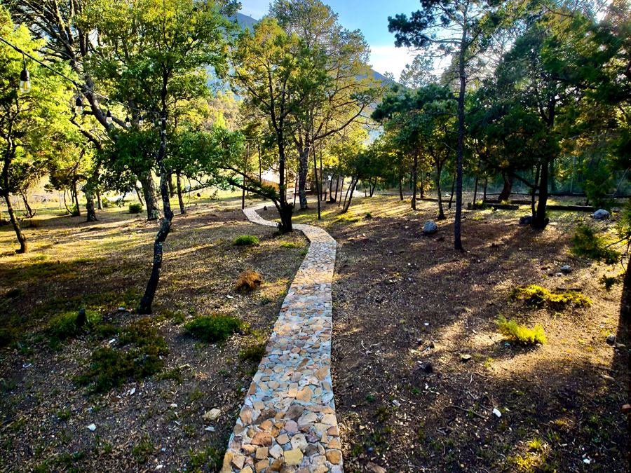Camino de piedra entre los pinos hacia la Terraza MORET